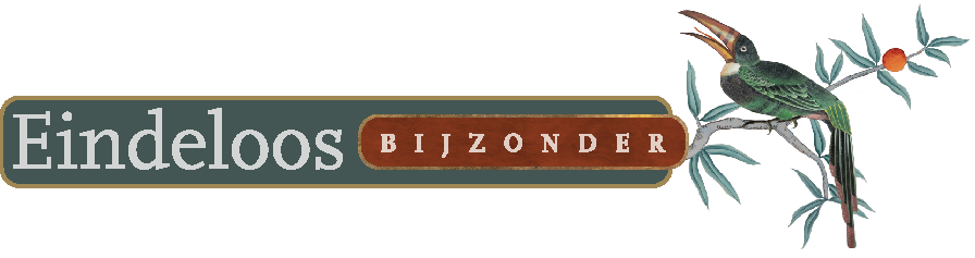 Eindeloos Bijzonder